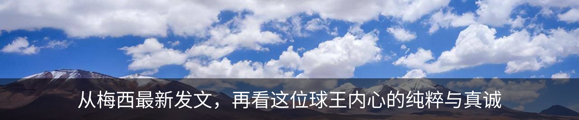 最新动态
