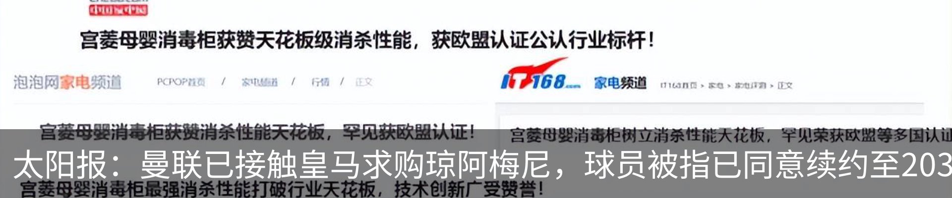 最新动态