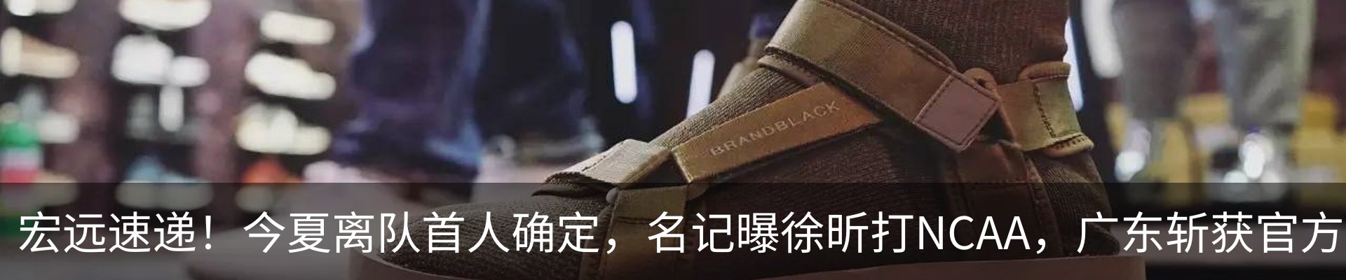 最新动态