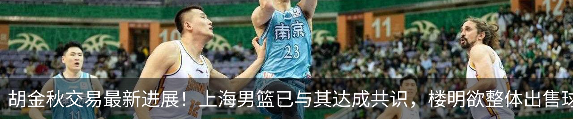 最新动态