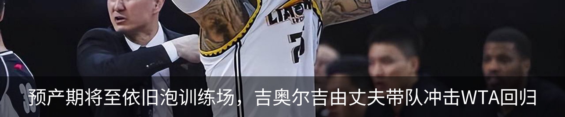 最新动态